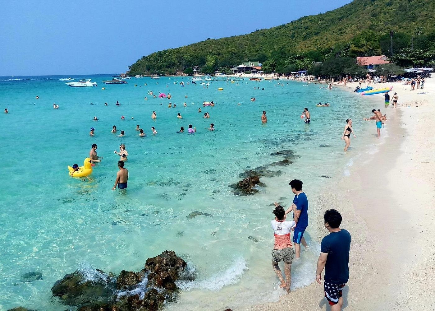 Pattaya : Coral Island Tour by Speedboat with Indian Lunch & Pick Up from Hotel