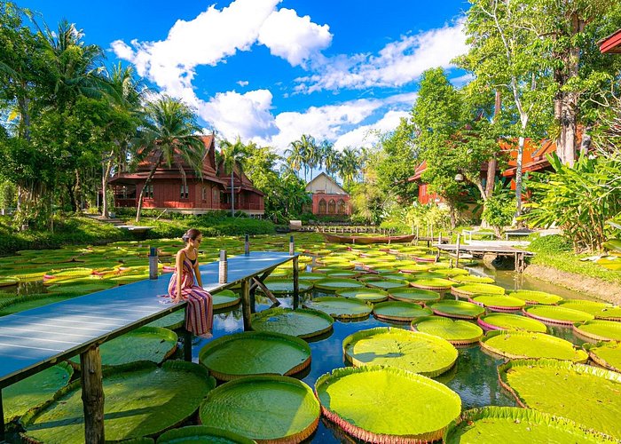 Phuket Giant Water Lilies & Temple Tour – Private & All-Inclusive