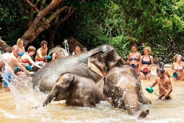 elephant-jungle-sanctuary-feeding-mud-spa-and-showering-600x400