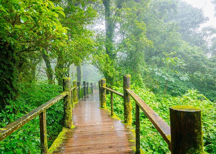 Wow! Doi Inthanon National Park Adventure, Lunch & Entry Included