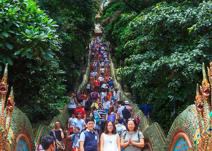 Doi Suthep and Hmong Hilltribe Half Day Tour in Chiang Mai