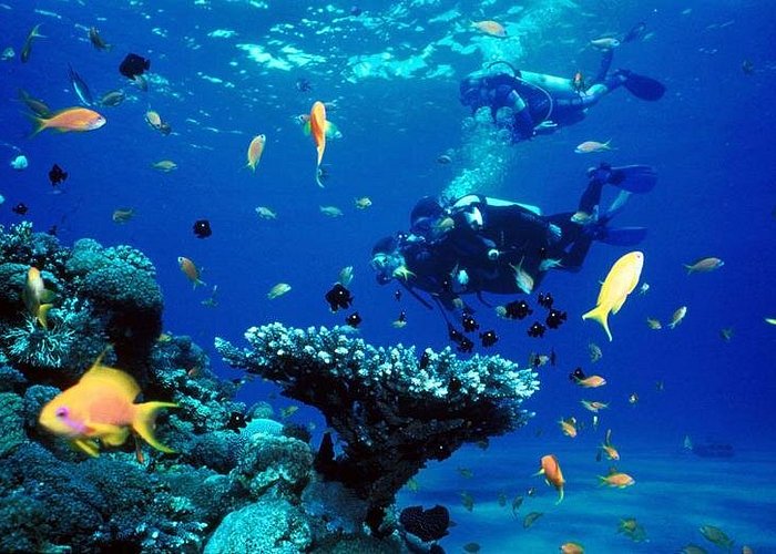 Full-Day Beginner Scuba Course with Private Tuition, Racha Yai
