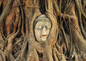 Ayutthaya Temples Tour from Bangkok with Grand Pearl River Cruise