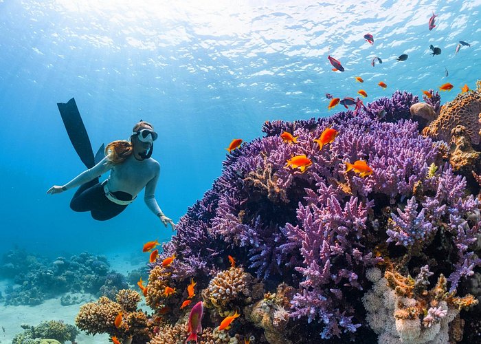 Krabi 7-Island Sunset Cruise with Snorkeling, BBQ & Plankton Swim