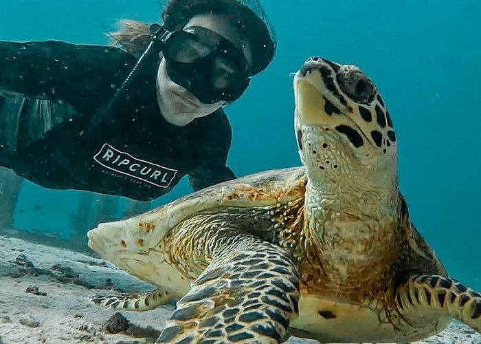 Similan Islands Private Tour