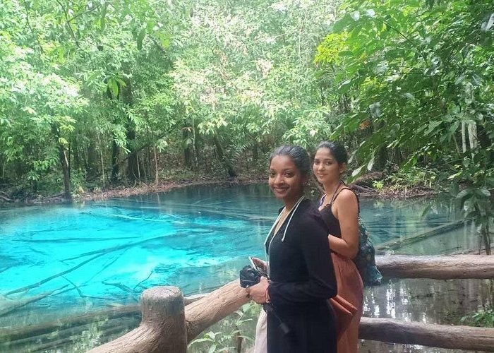 Discover Krabi – Emerald Pool, Hot Springs & Tiger Cave Temple